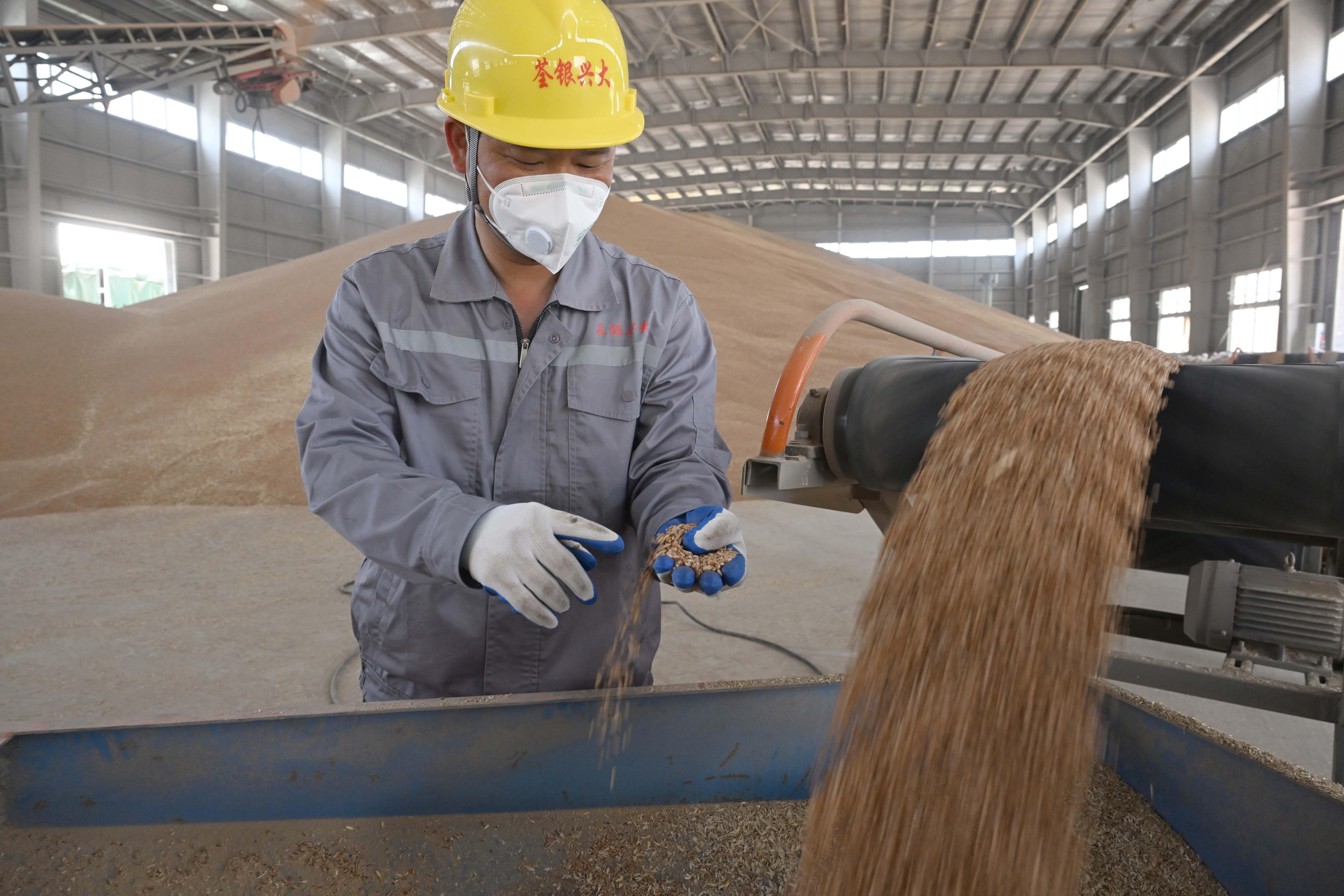 培育良種助力鄉(xiāng)村振興